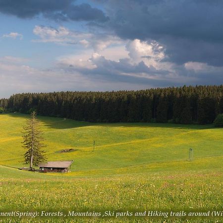Entire House In Schwarzwald With Mountain View, Private Gym,Sauna And Garden Unterkirnach Exterior foto