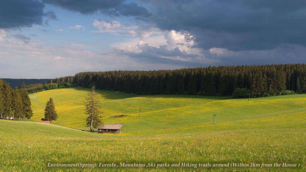 Entire House In Schwarzwald With Mountain View, Private Gym,Sauna And Garden Unterkirnach Exterior foto