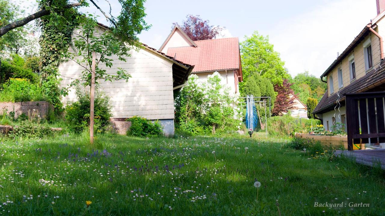 Entire House In Schwarzwald With Mountain View, Private Gym,Sauna And Garden Unterkirnach Exterior foto