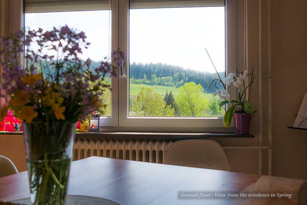 Entire House In Schwarzwald With Mountain View, Private Gym,Sauna And Garden Unterkirnach Exterior foto
